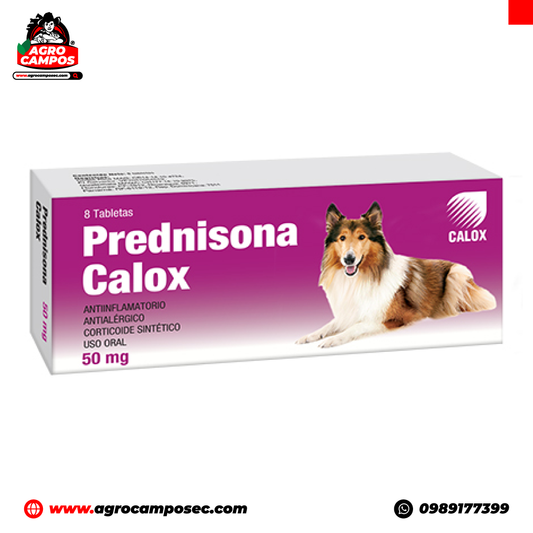 Prednisona Calox