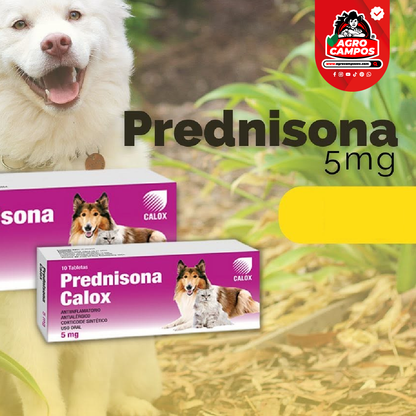 Prednisona Calox