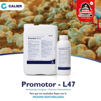 Promotor L