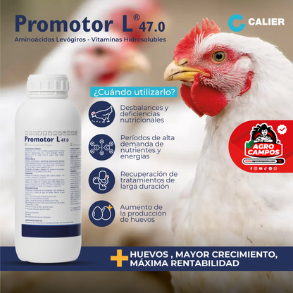 Promotor L