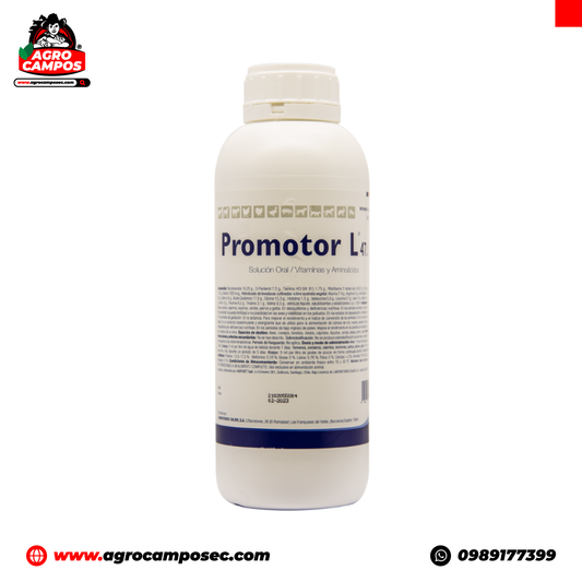 Promotor L