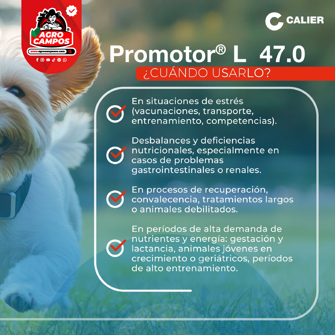 Promotor L 47.0