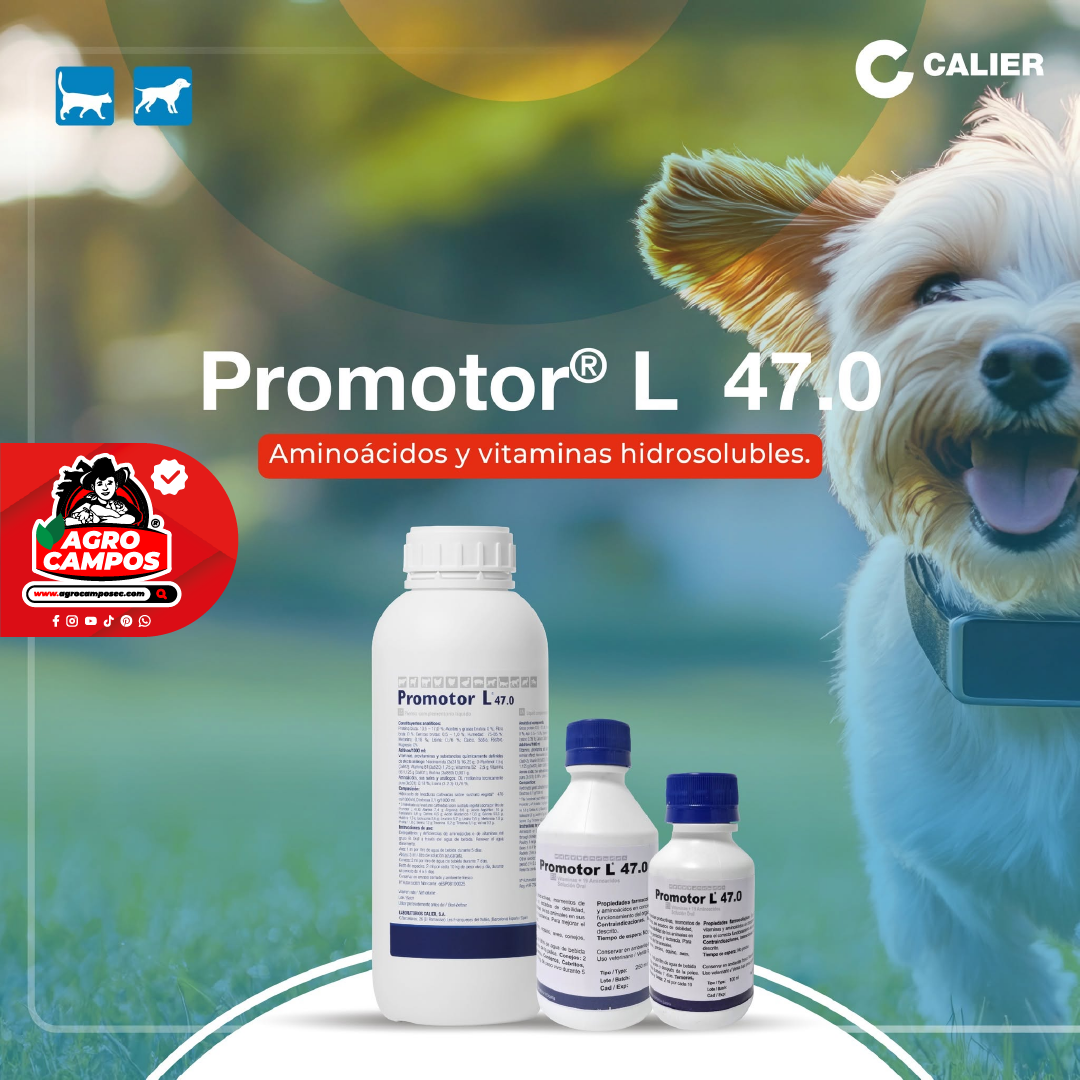 Promotor L 47.0