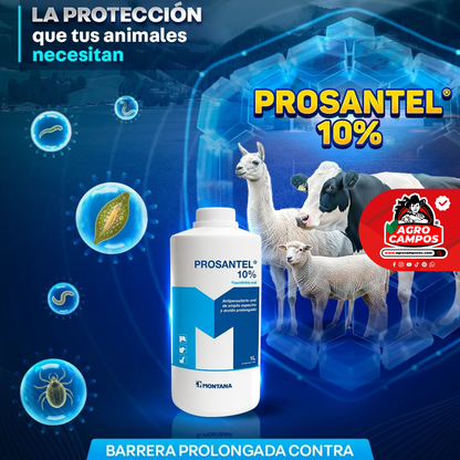 Prosantel 10%