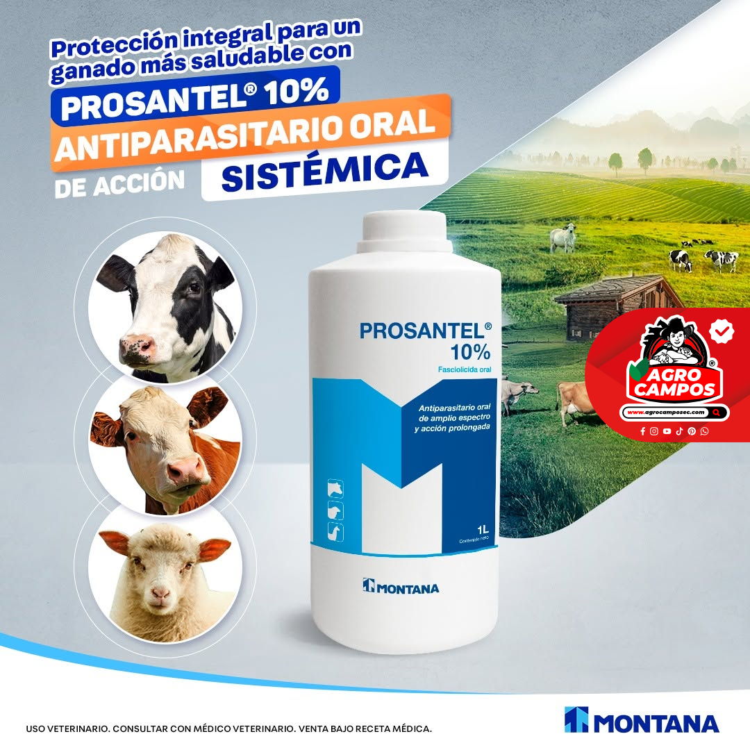 Prosantel 10%
