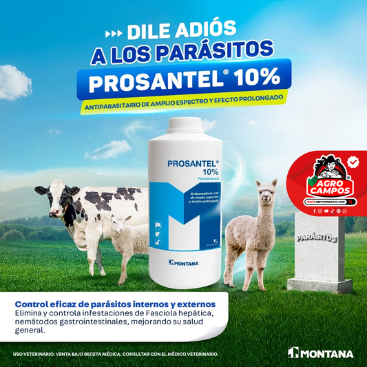 Prosantel 10%