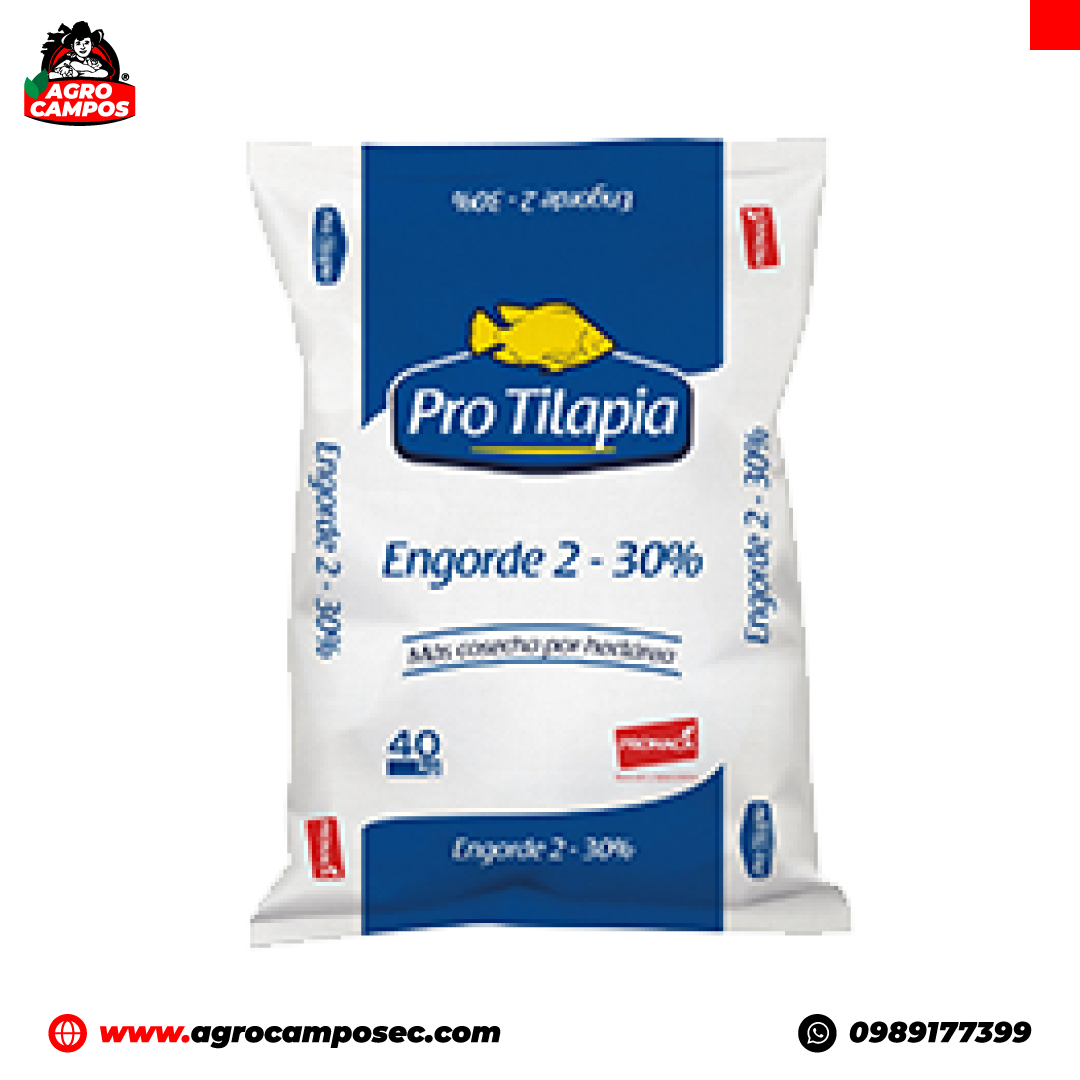 ProTilapia Engorde 2 Pronaca 20kg - Agro Campos