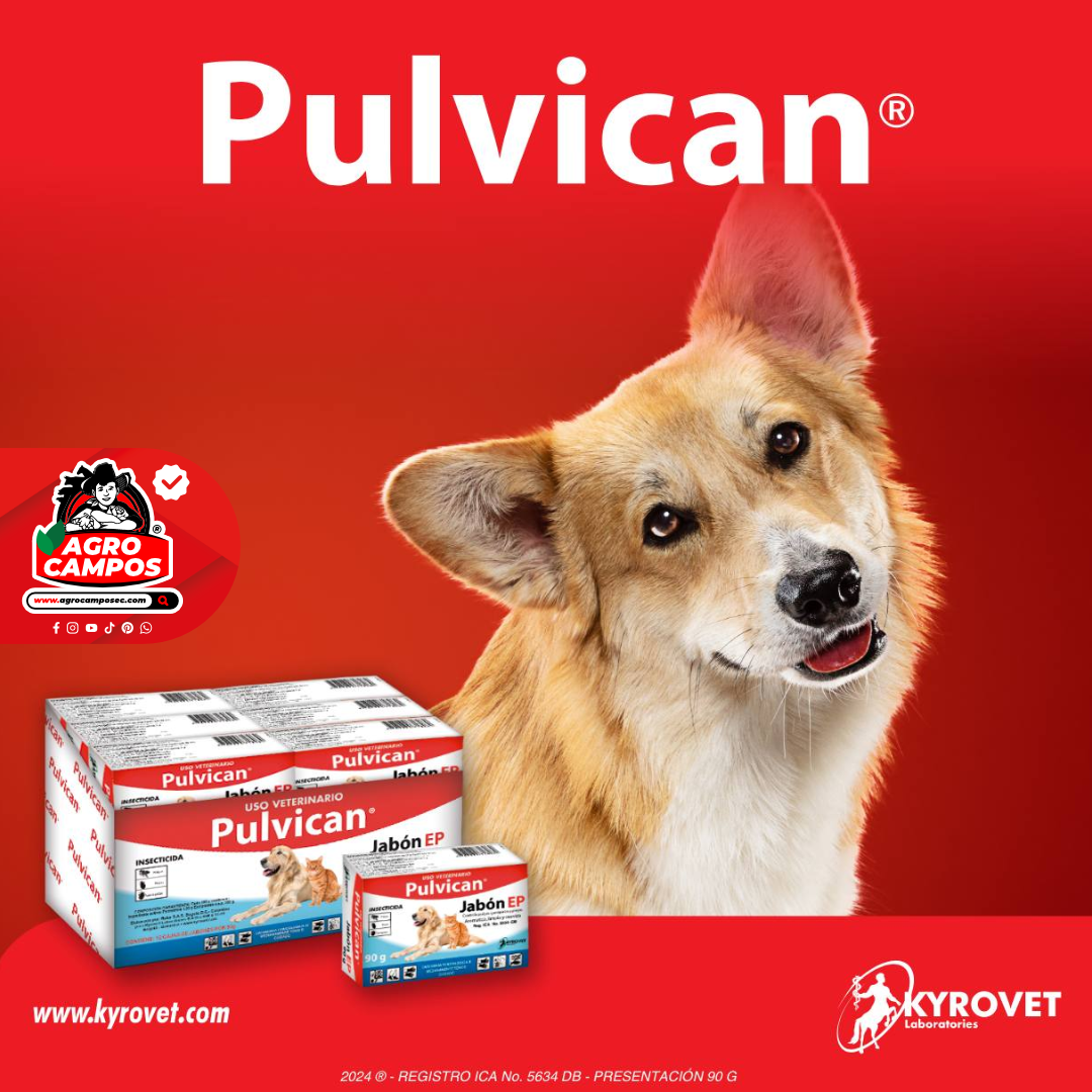 Pulvican Jabón EP