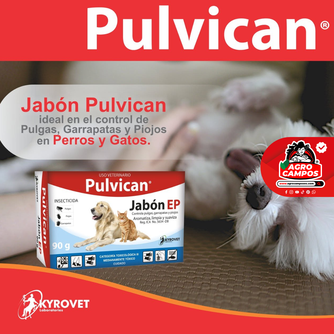 Pulvican Jabón EP