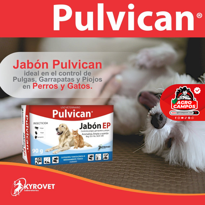 Pulvican Jabón EP