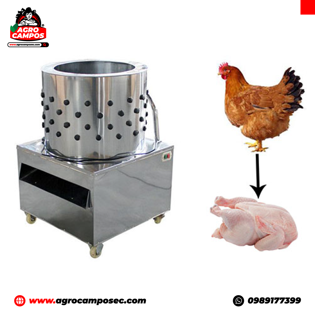 Peladora de Pollos 110 V