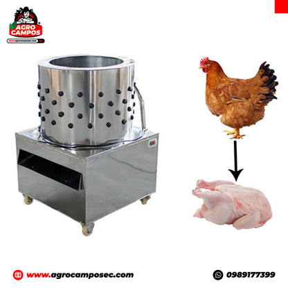 Peladora de Pollos 110 V