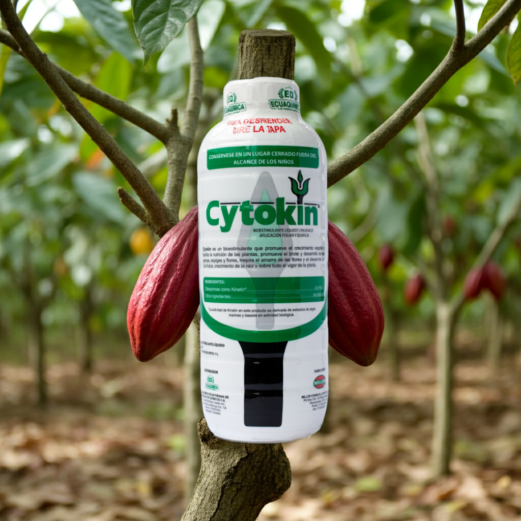 Cytokin