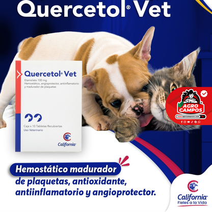 Quercetol Vet Tabletas