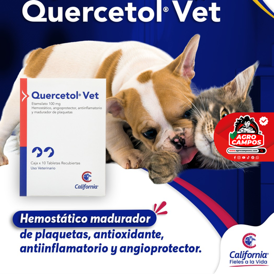 Quercetol Vet Tabletas