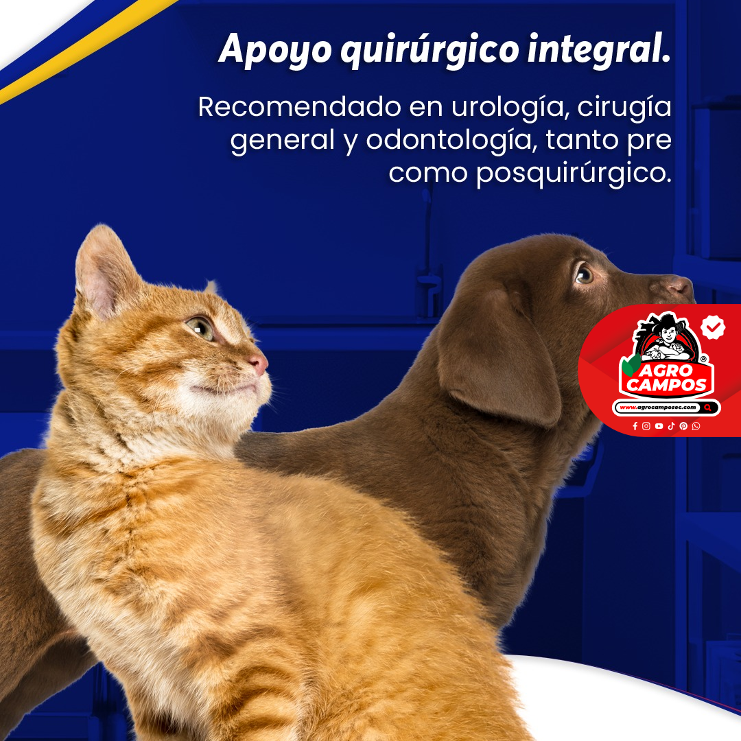 Quercetol Vet Tabletas