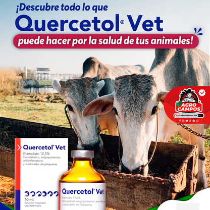 Quercetol Vet Iny.