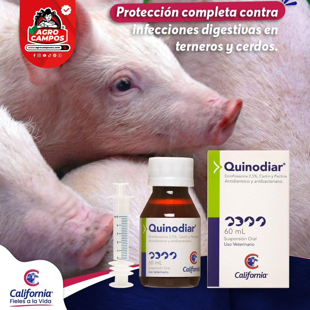 Quinodiar Suspensión