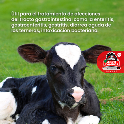 Quinodiar Suspensión