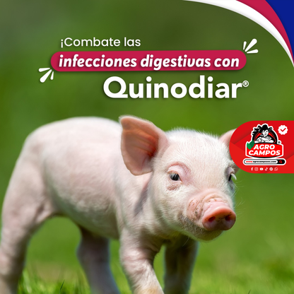 Quinodiar Suspensión