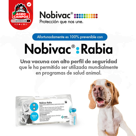 Vacuna Nobivac Rabia