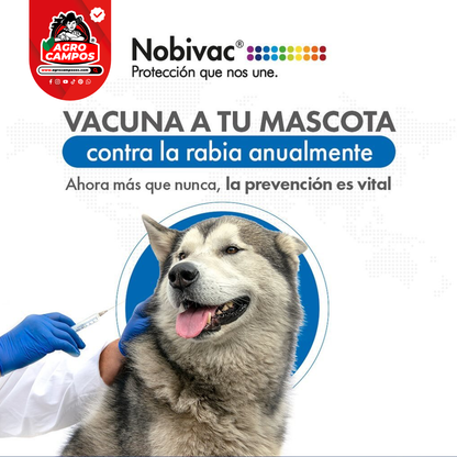 Vacuna Nobivac Rabia Mascotas