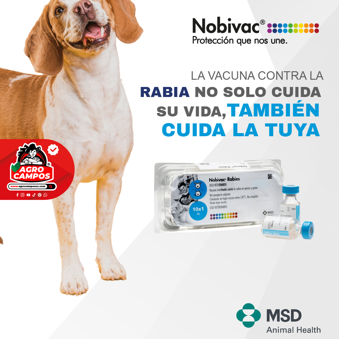 Vacuna Nobivac Rabia Mascotas