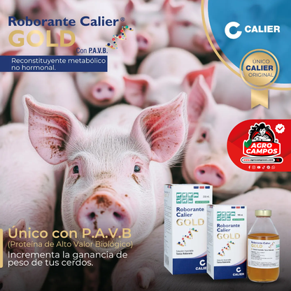 Roborante Calier Gold