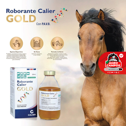 Roborante Calier Gold