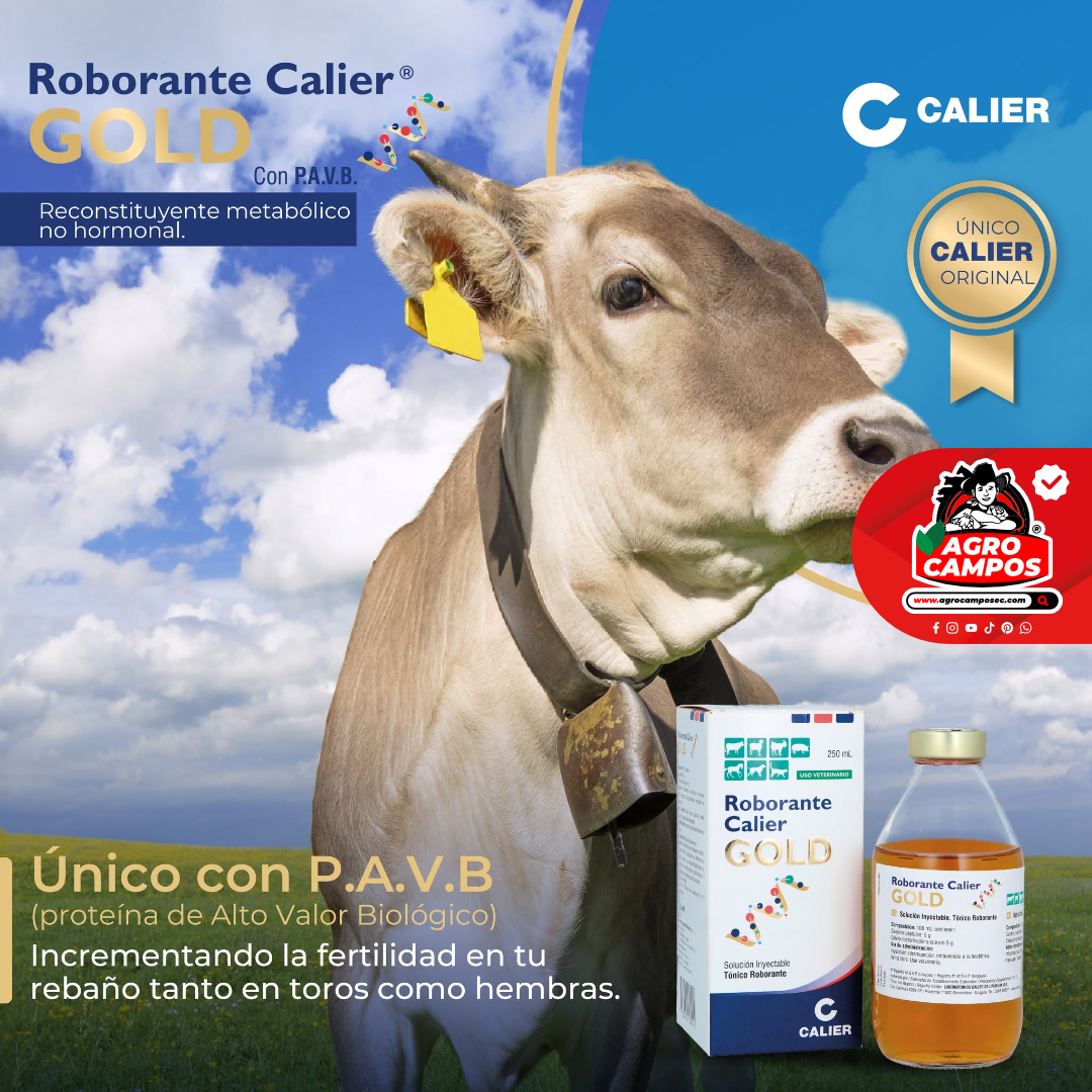 Roborante Calier Gold