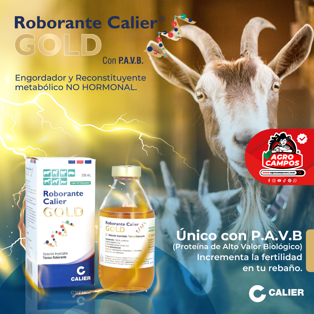 Roborante Calier Gold