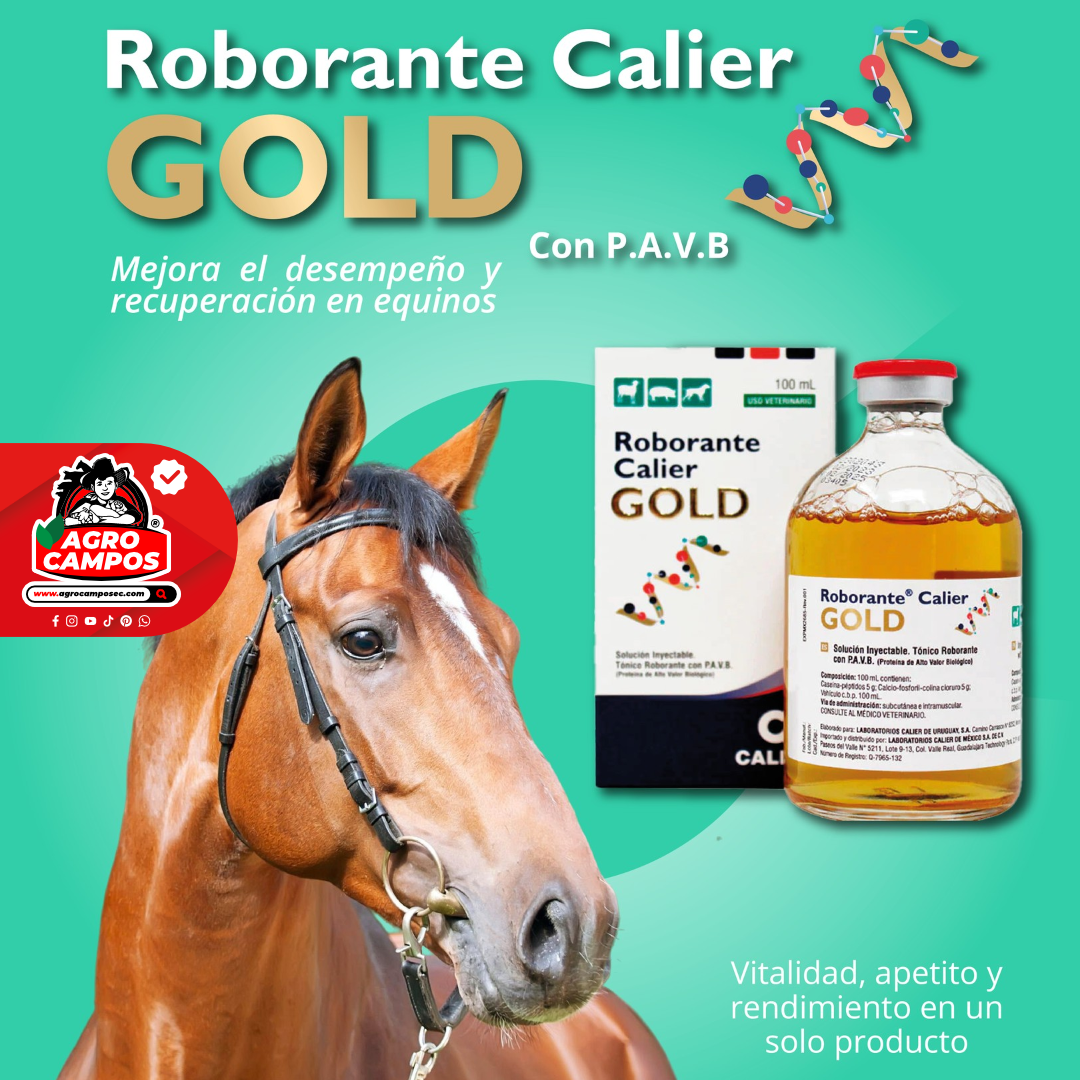 Roborante Calier Gold