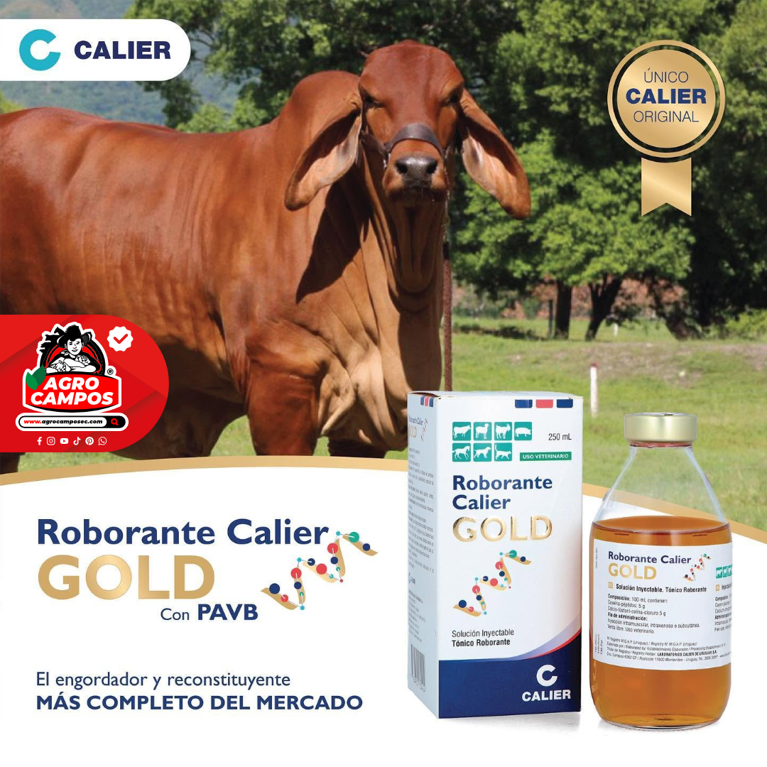 Roborante Calier Gold