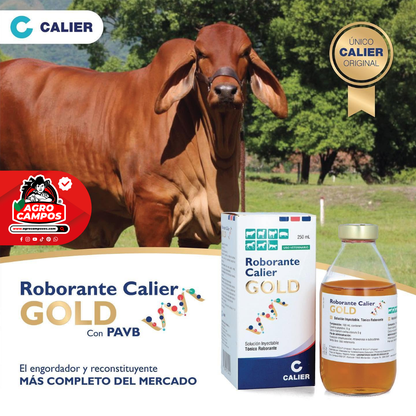 Roborante Calier Gold