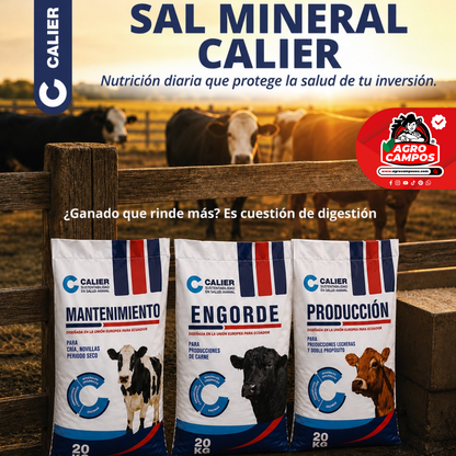 Sal Calier Mantenimiento