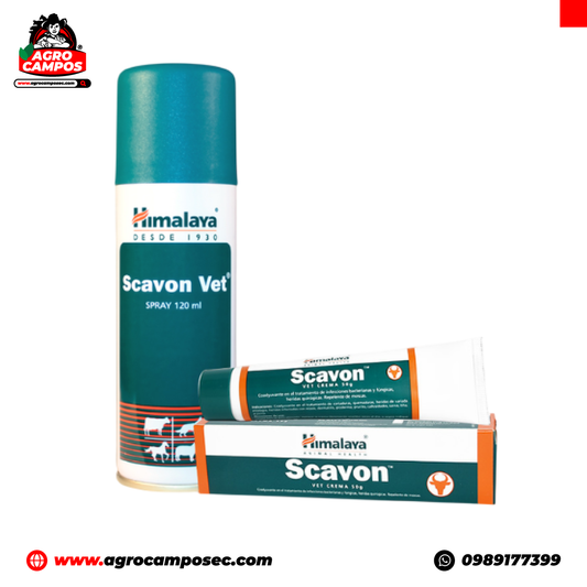 Scavon Vet