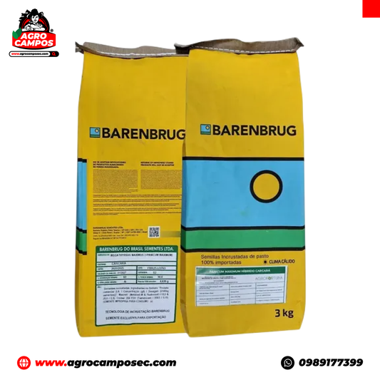 Semilla Pasto Mombaza Barenbrug