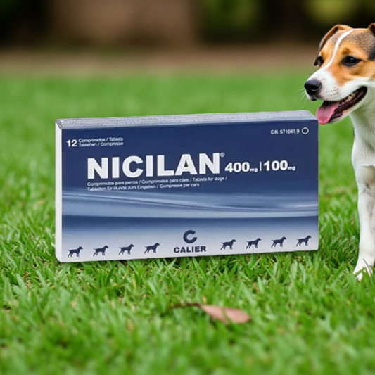 Nicilan 400 100 Mascotas