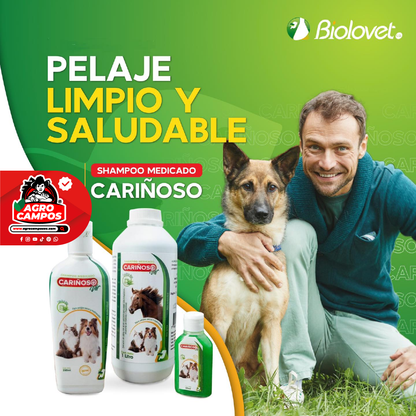 Shampoo Medicado Cariñoso