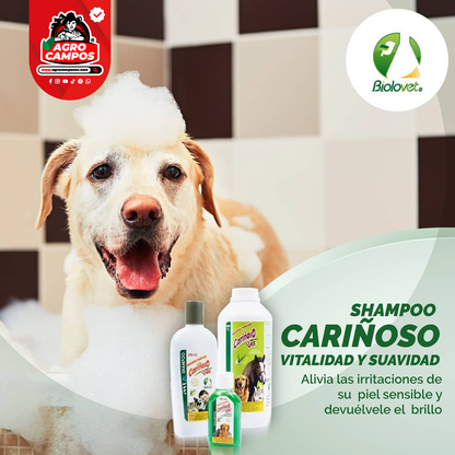 Shampoo Medicado Cariñoso