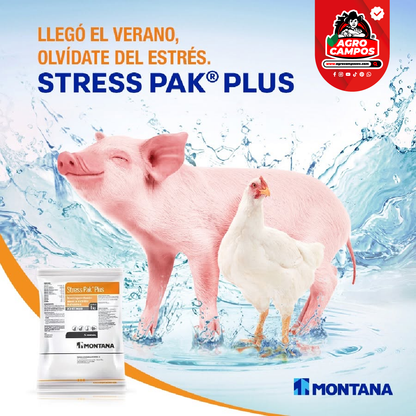 Stress Pak Plus
