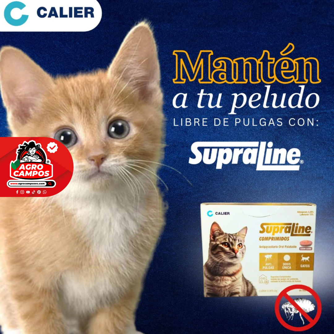 Supraline Gatos Mascotas