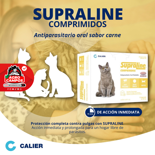 Supraline Gatos