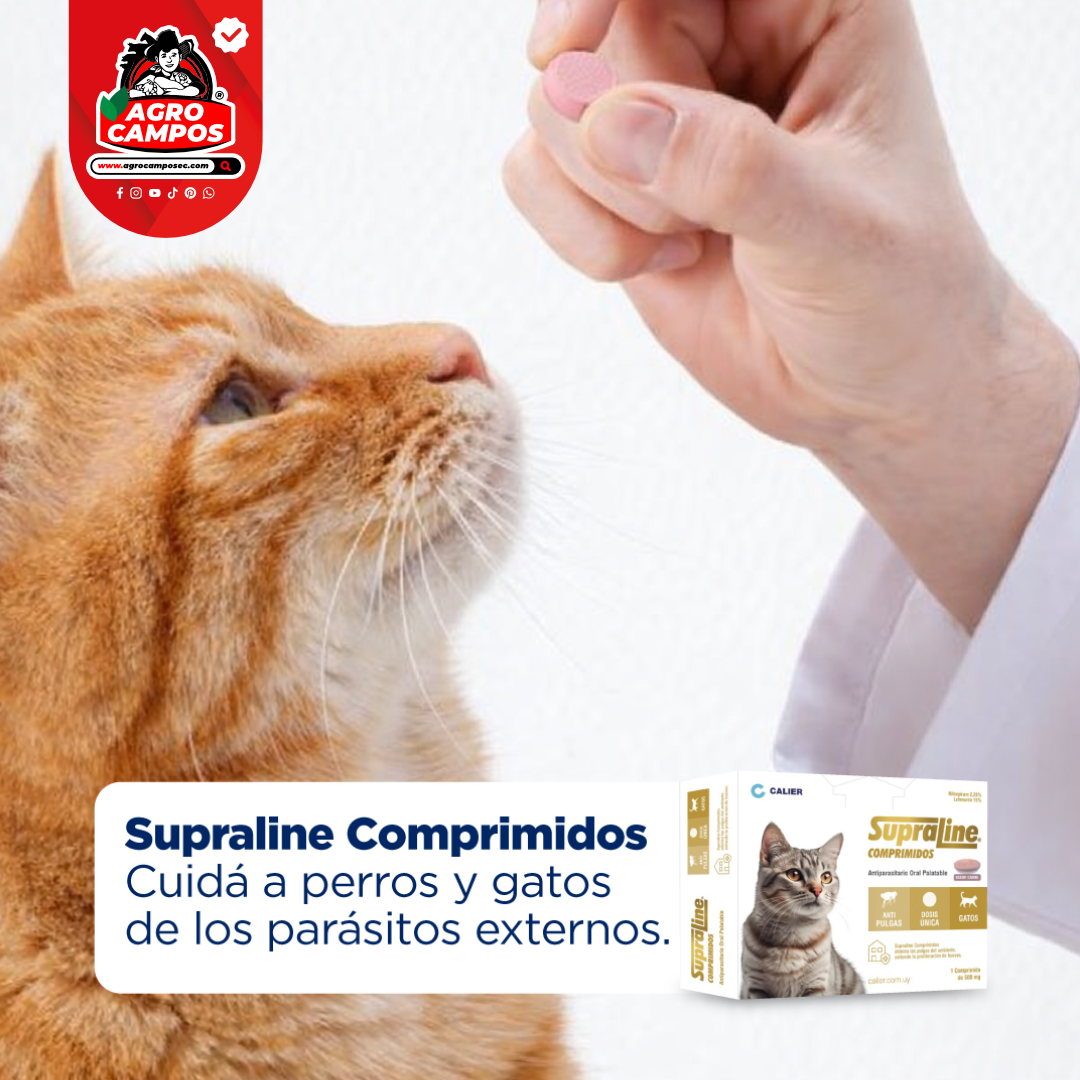 Supraline Gatos Mascotas