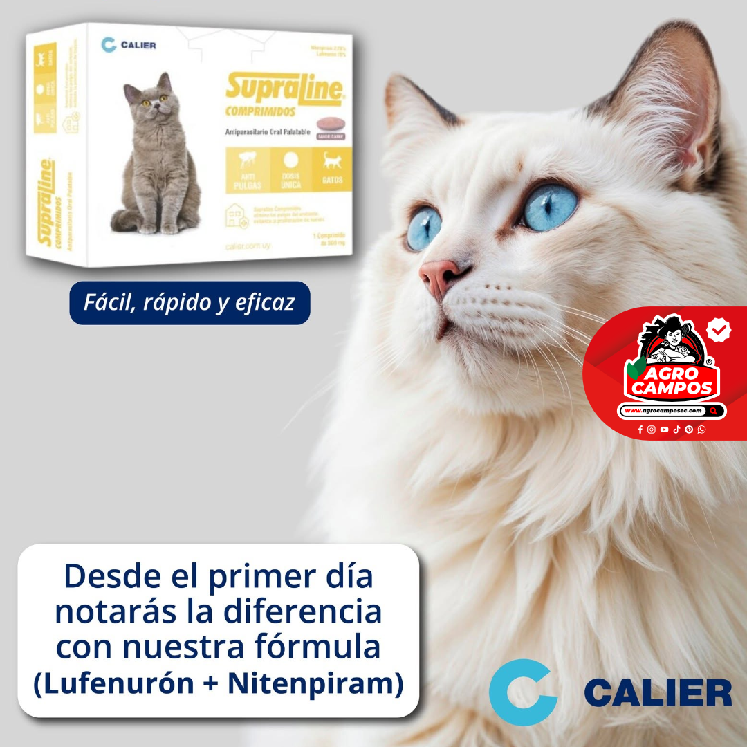 Supraline Gatos Mascotas