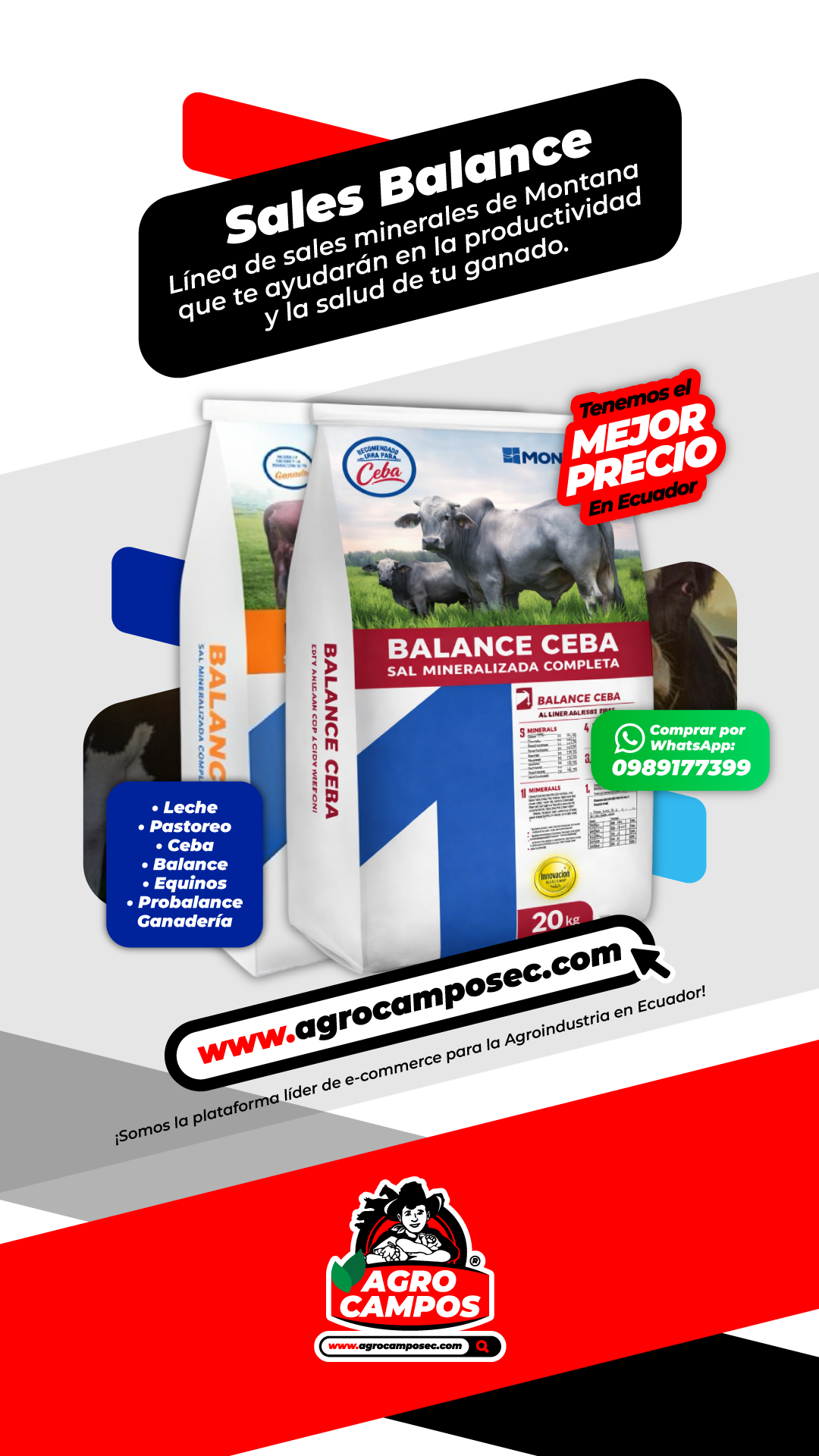 Sal Balance Montana Saco Suplemento Mineral Ganado Ecuador - Agro Campos® Online Store
