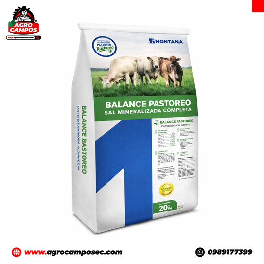 Sal Balance Pastoreo Montana Calcio Fosforo Magnesio Suplemento Mineral Ganado Bovino Cria Ecuador - Agro Campos® Online Store
