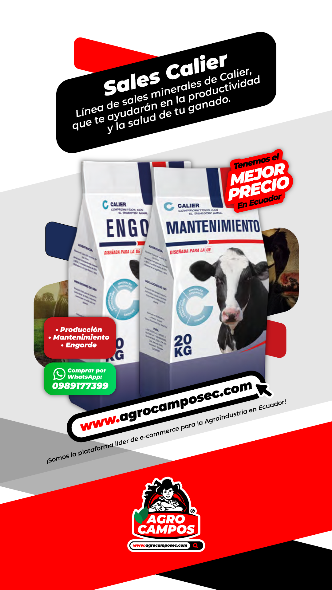 Sal Calier Produccion Saco Suplemento Mineral Ganado Lechero Uso Veterinario Ecuador - Agro Campos® Online Store
