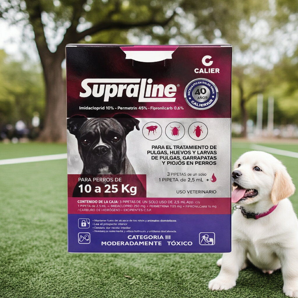 Supraline Perros izquierda