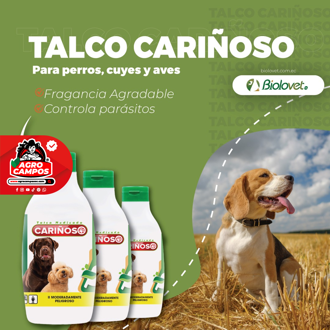 Talco Medicado Cariñoso